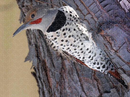 A Flicker of Hope - Woodpeckers- Puzzle
