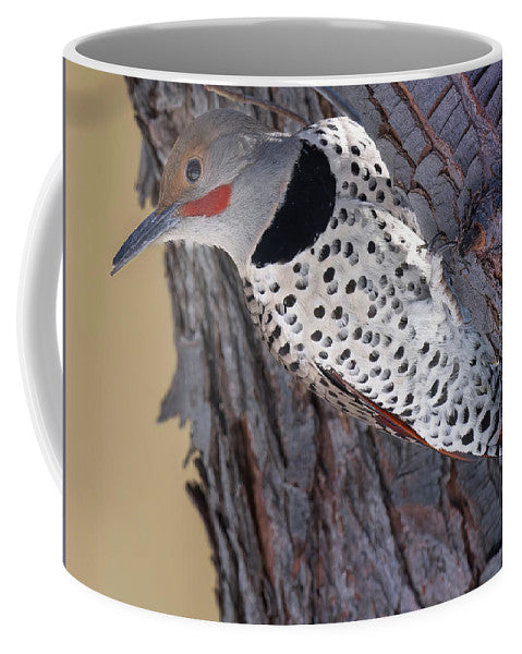 A Flicker of Hope - Woodpeckers- Mug