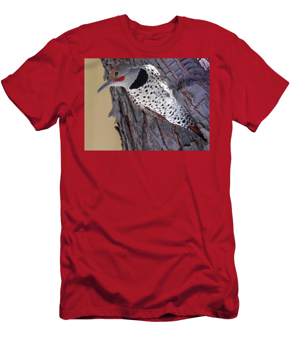 A Flicker of Hope - Woodpeckers- T-Shirt