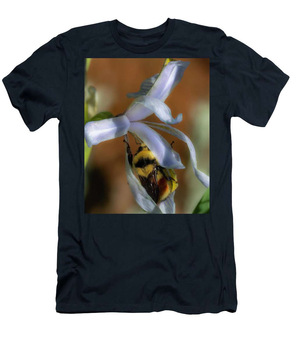 Bumblebee In Wild Iris Flower - T-Shirt