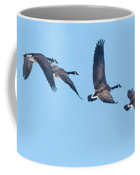 Coordinated Wingbeats of Canada Geese  - Mug