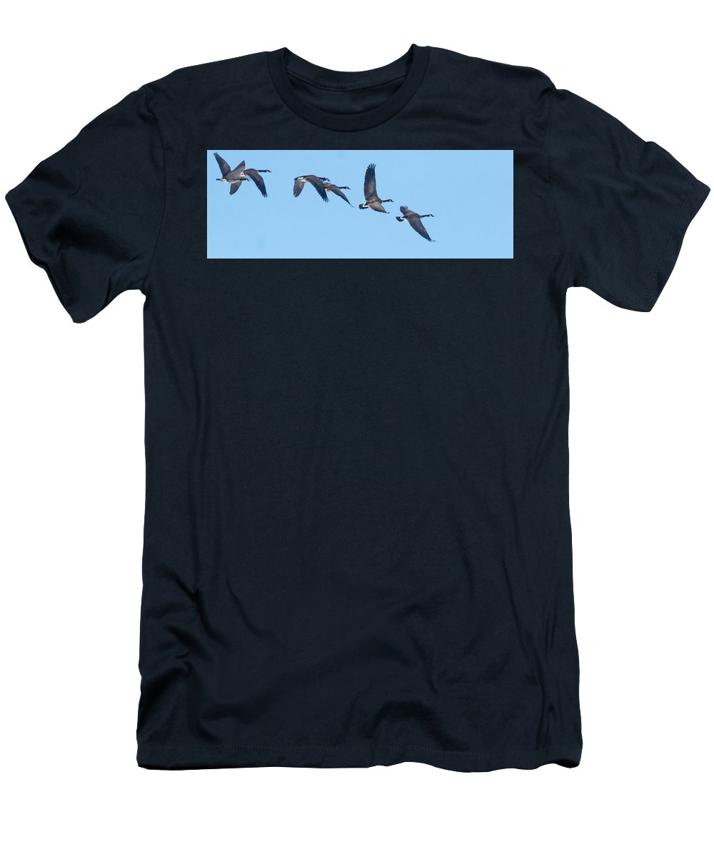 Coordinated Wingbeats of Canada Geese  - T-Shirt