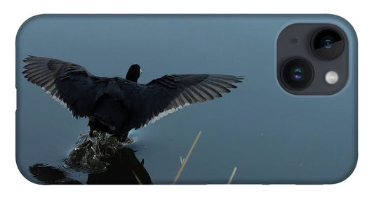 Coot Lands In Pond  - Phone Case