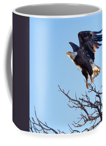 Bald Eagle Taking Flight - Mug