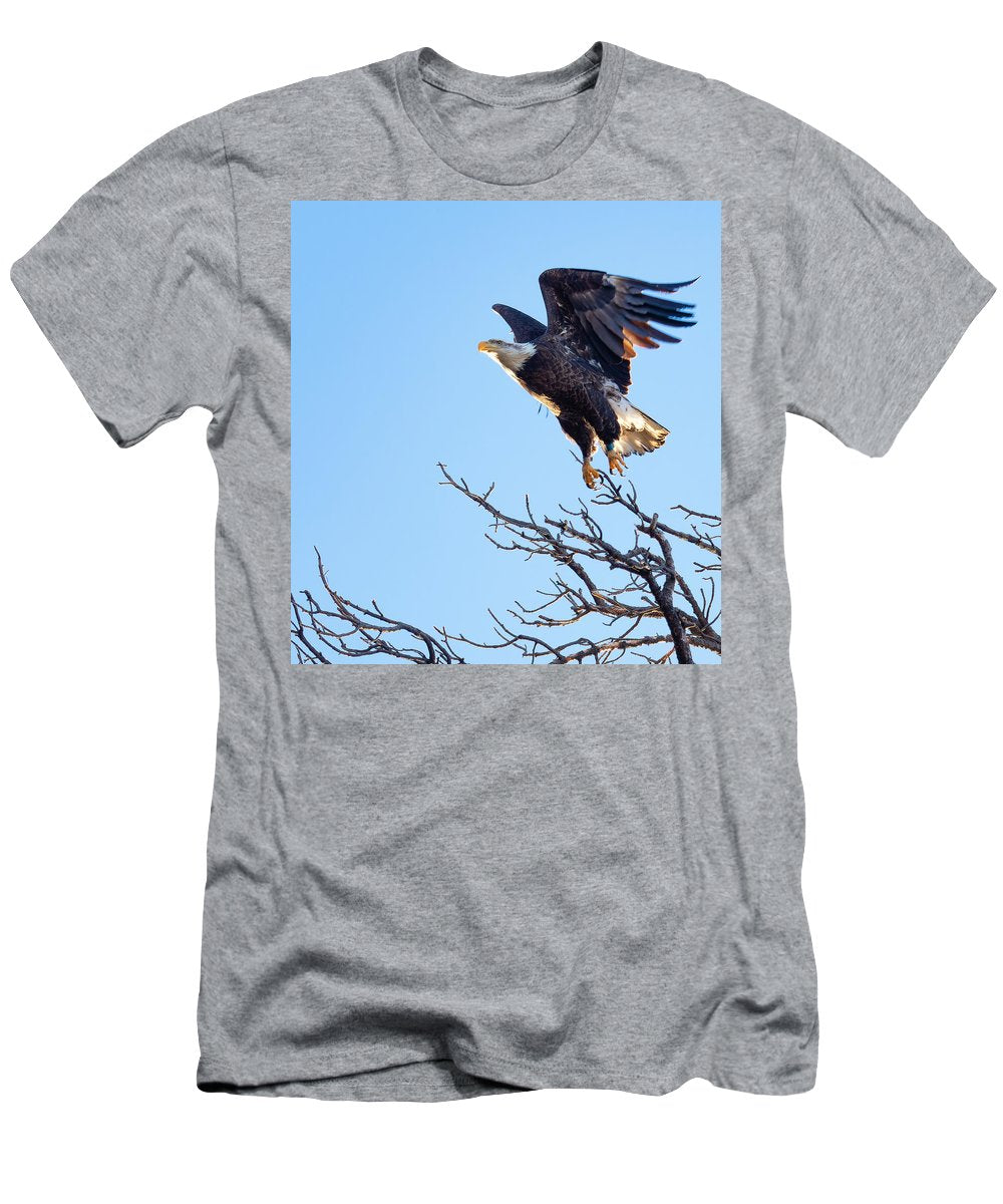 Bald Eagle Taking Flight - T-Shirt