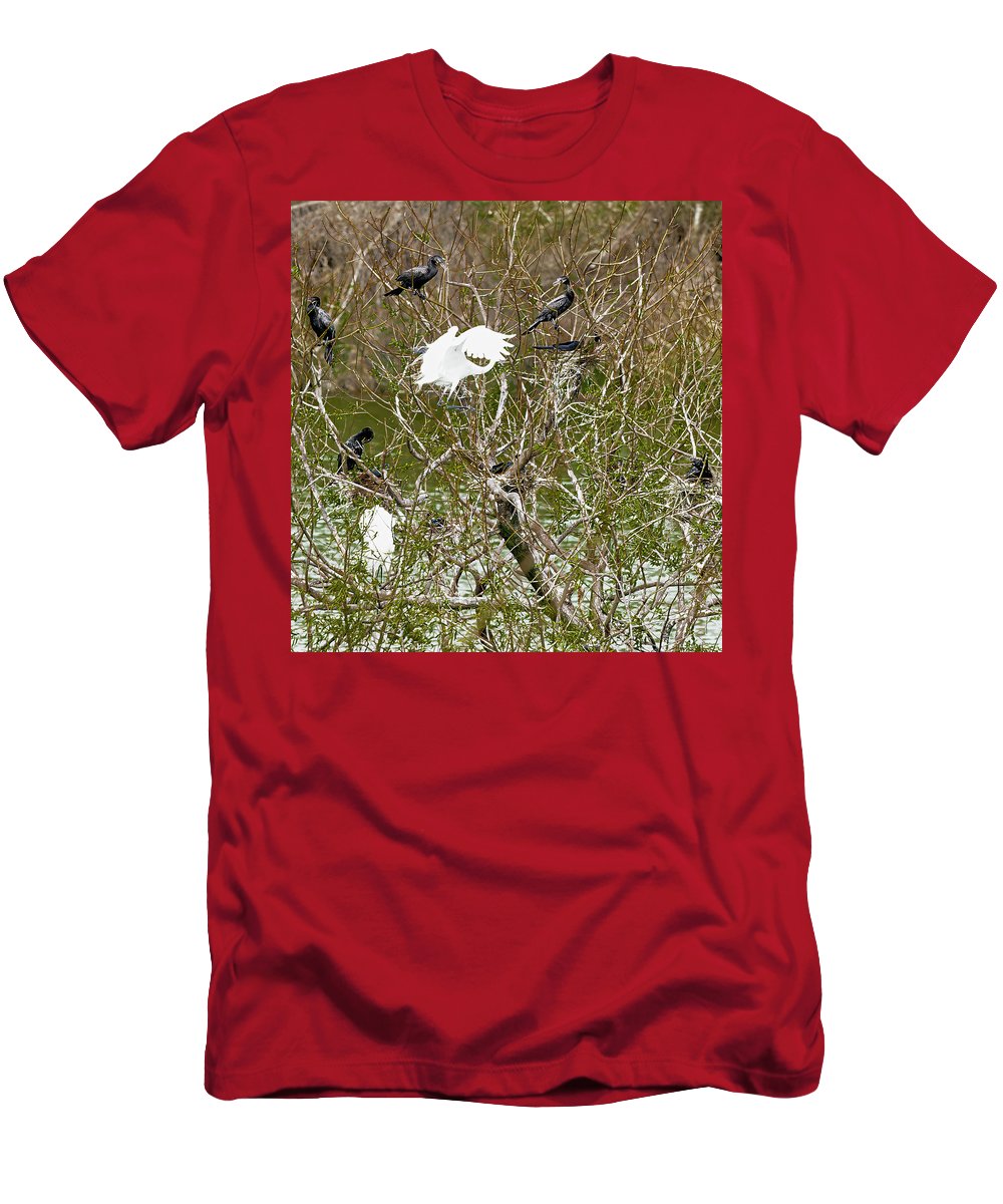 Egret At Center of Cormorant Circle - T-Shirt