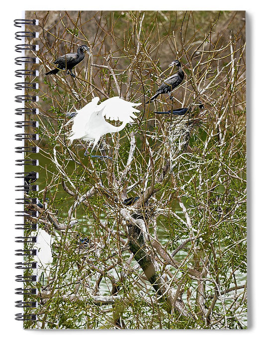 Egret At Center of Cormorant Circle - Spiral Notebook