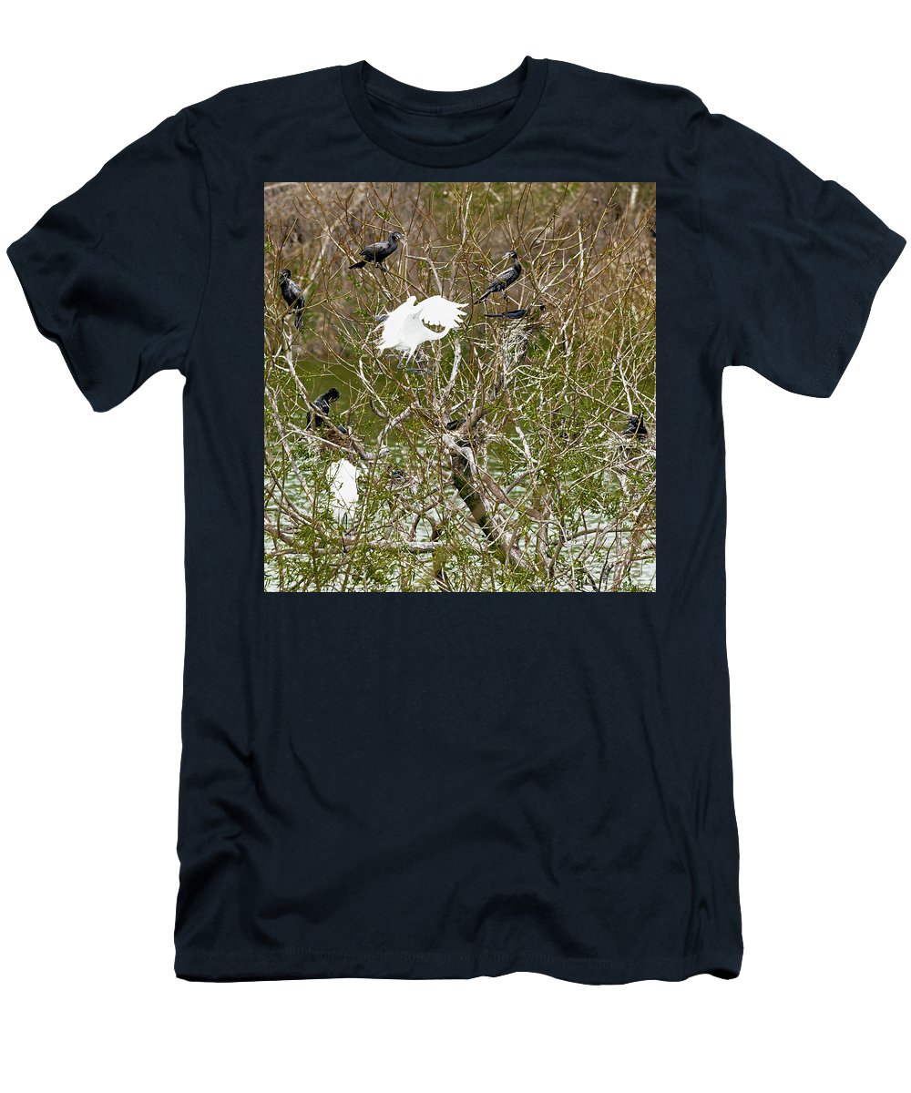 Egret At Center of Cormorant Circle - T-Shirt