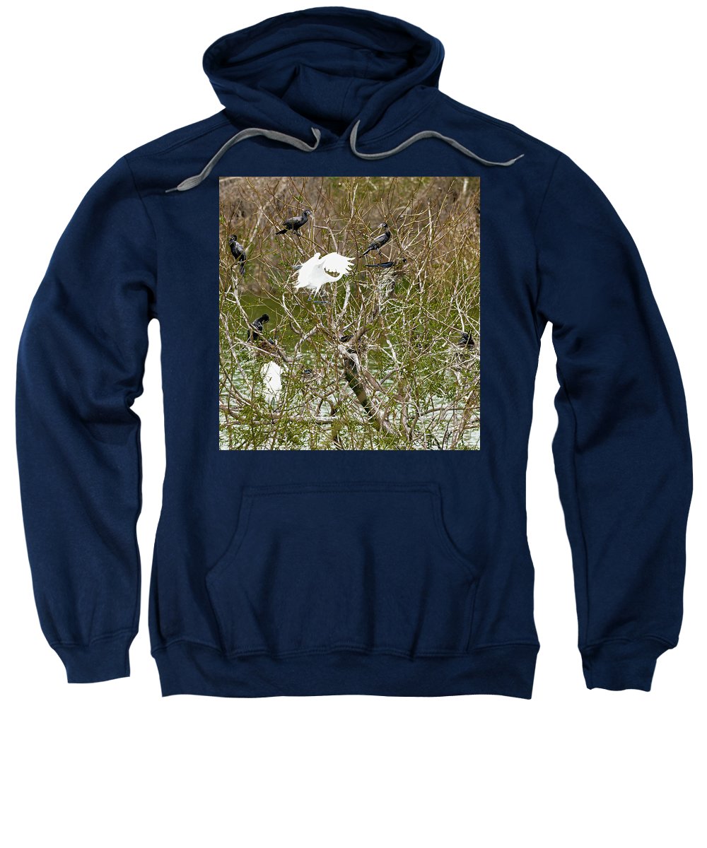 Egret At Center of Cormorant Circle - Sweatshirt