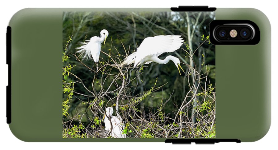Egrets Interacting On High Island Texas - Phone Case