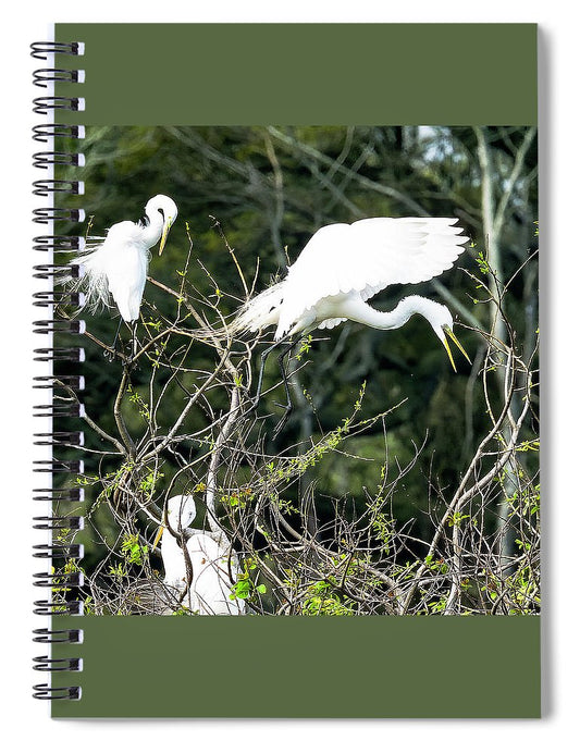 Egrets Interacting On High Island Texas - Spiral Notebook