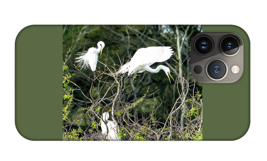 Egrets Interacting On High Island Texas - Phone Case