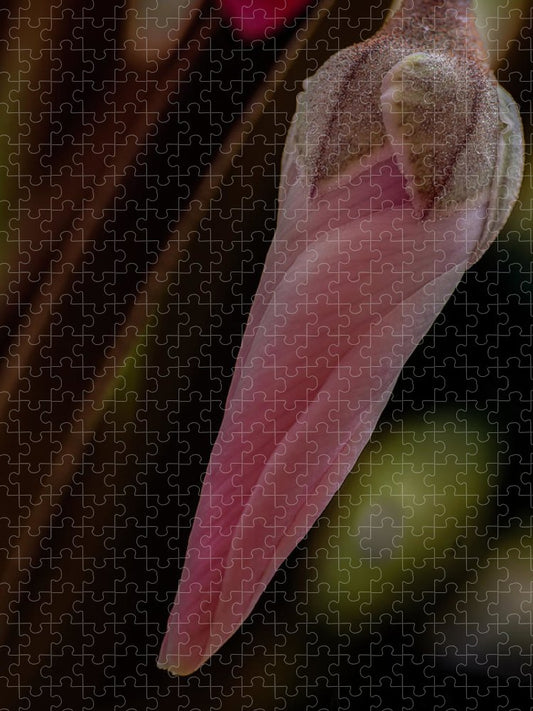 Hanging Garden (Cyclamen Flower)  - Puzzle