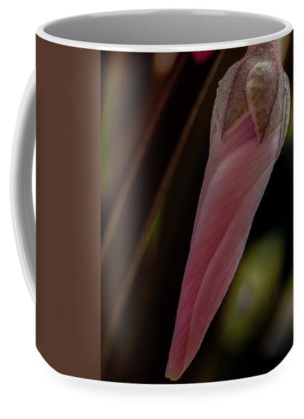 Hanging Garden (Cyclamen Flower) - Mug