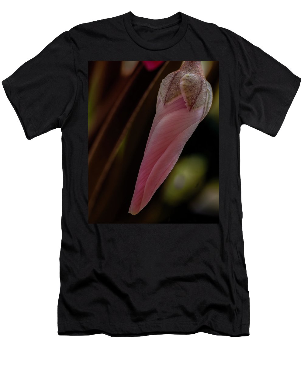 Hanging Garden (Cyclamen Flower) - T-Shirt