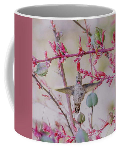 Hummingbird At Red Yucca - Mug