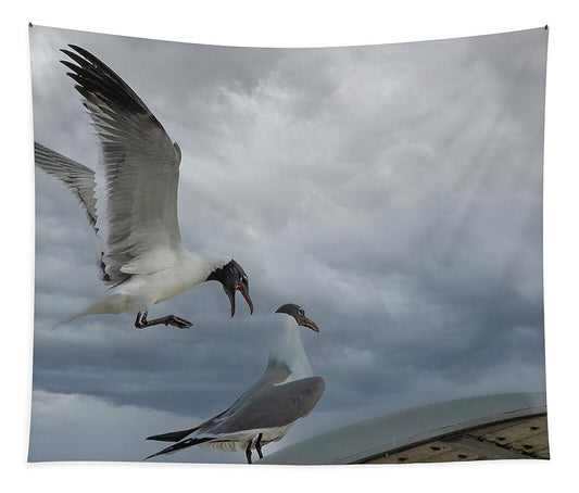 Laughing Gull Landing In Galveston - Tapestry
