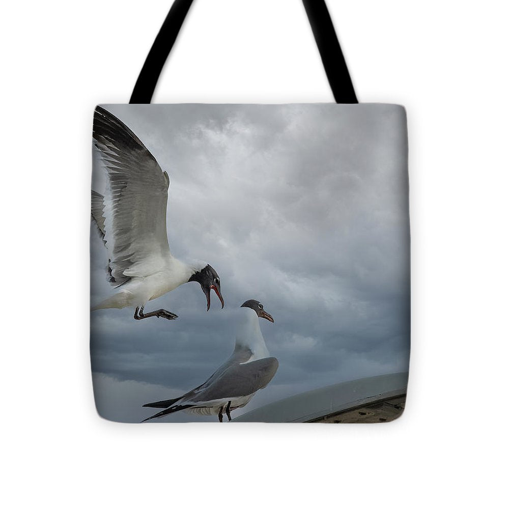 Laughing Gull Landing In Galveston - Tote Bag