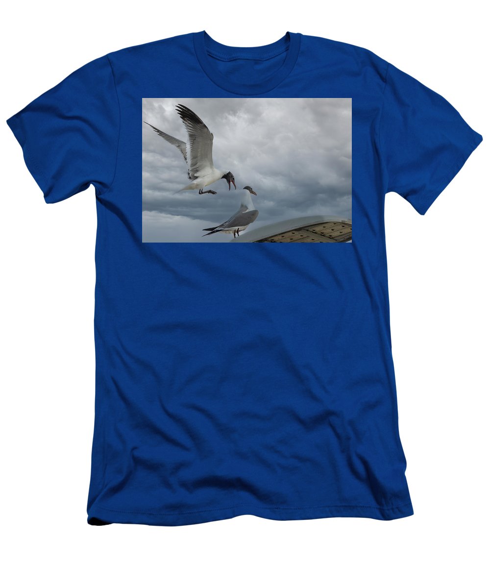 Laughing Gull Landing In Galveston - T-Shirt