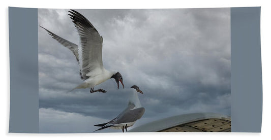 Laughing Gull Landing In Galveston - Beach Towel