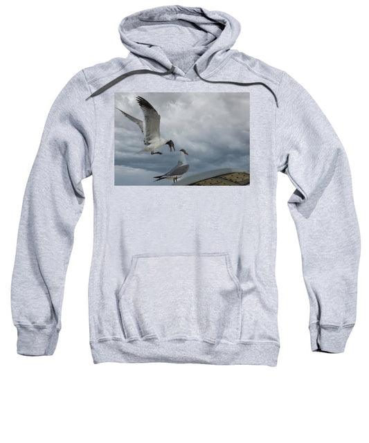 Laughing Gull Landing In Galveston - Sweatshirt