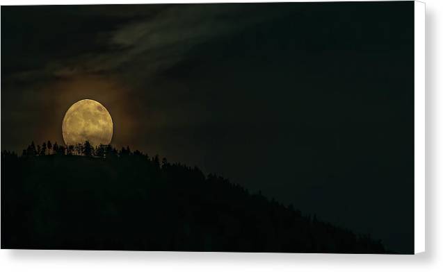 Moon Over Cinder Cone - Canvas Print