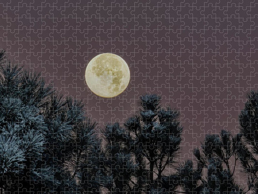 Moon Over Snowy Pine - Puzzle