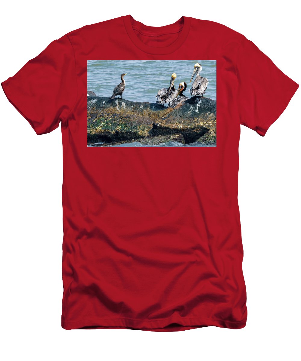 Pelicans And Cormorant On Jetty - T-Shirt