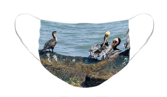 Pelicans And Cormorant On Jetty - Face Mask