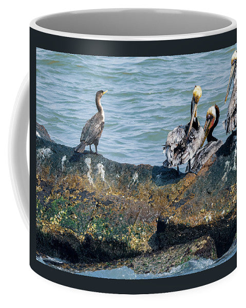 Pelicans And Cormorant On Jetty - Mug