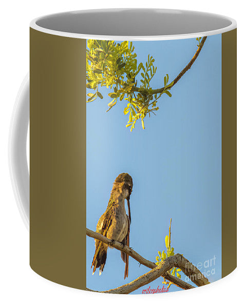 Preening Hummingbird - Mug