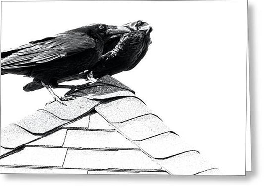 Raven Pair On Roof - Greeting Card