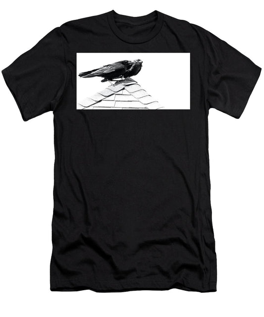 Raven Pair On Roof - T-Shirt
