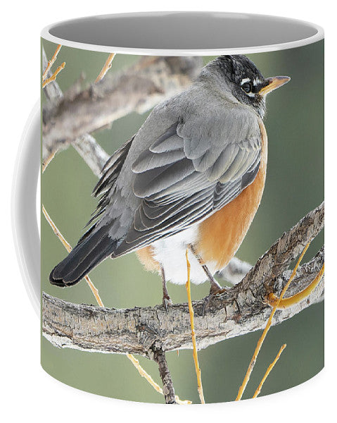 Robin Perched In Willow - Mug