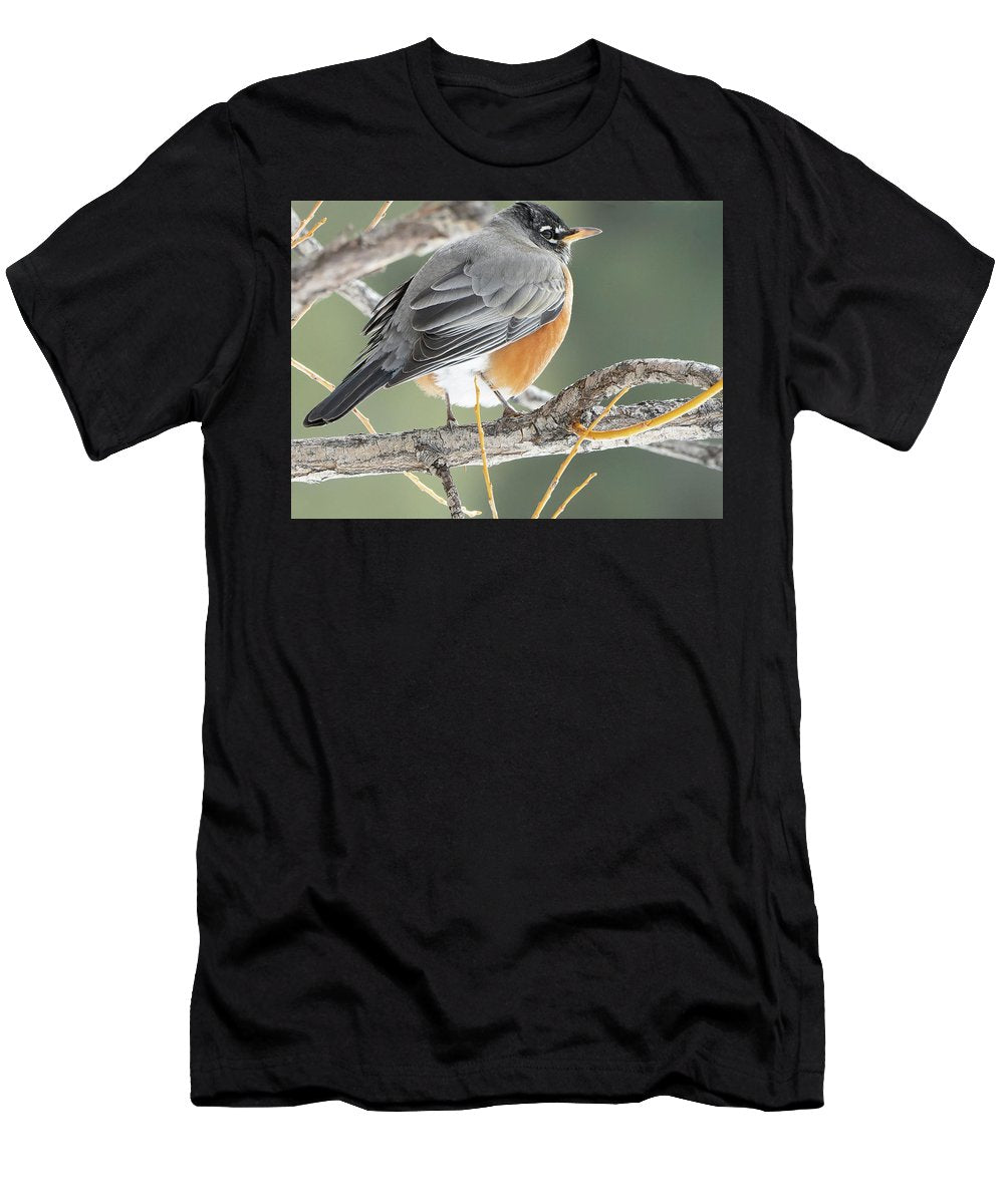 Robin Perched In Willow - T-Shirt