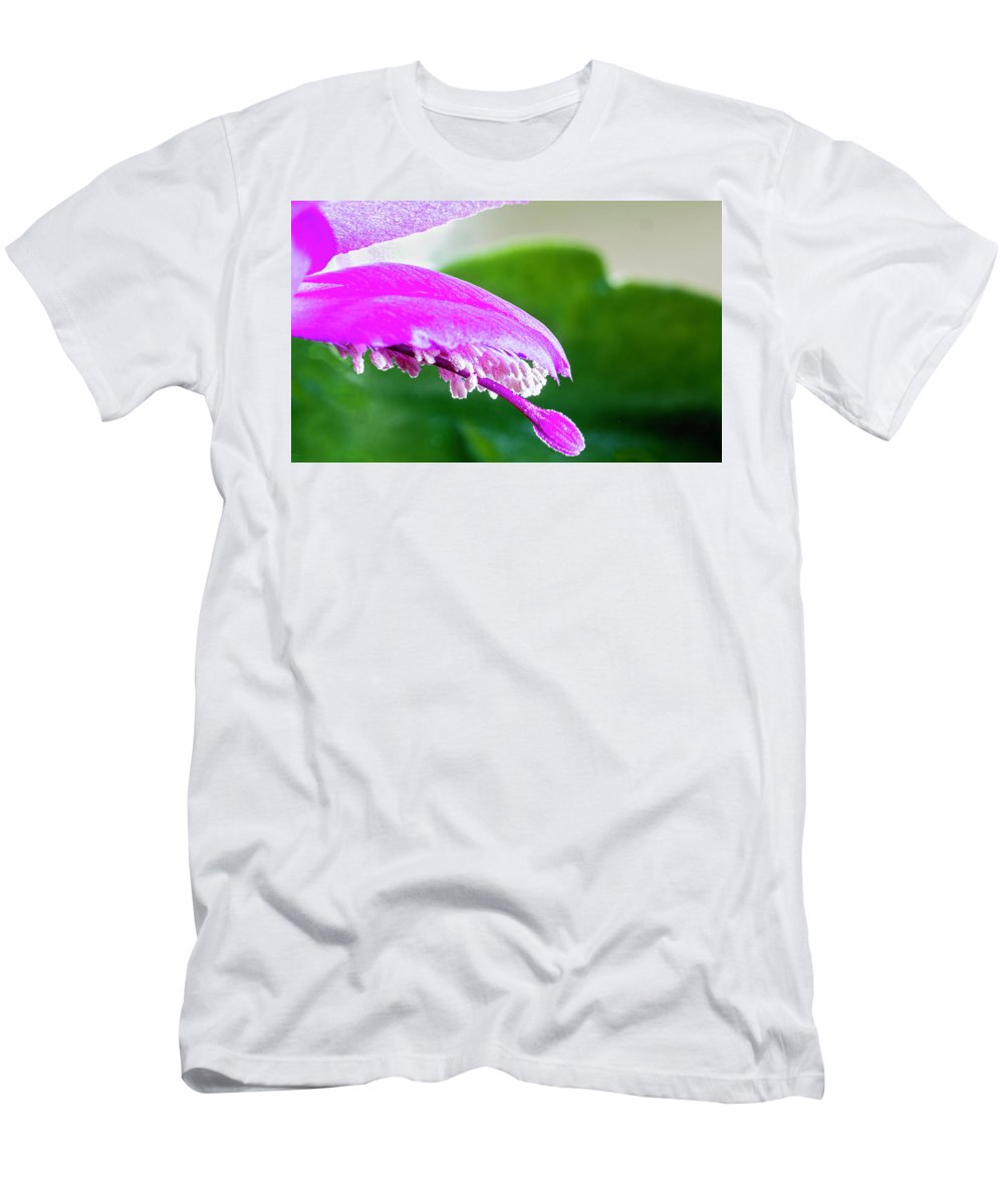 Thanksgiving Cactus Flower - T-Shirt