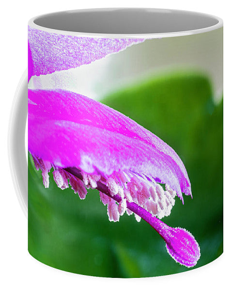 Thanksgiving Cactus Flower - Mug